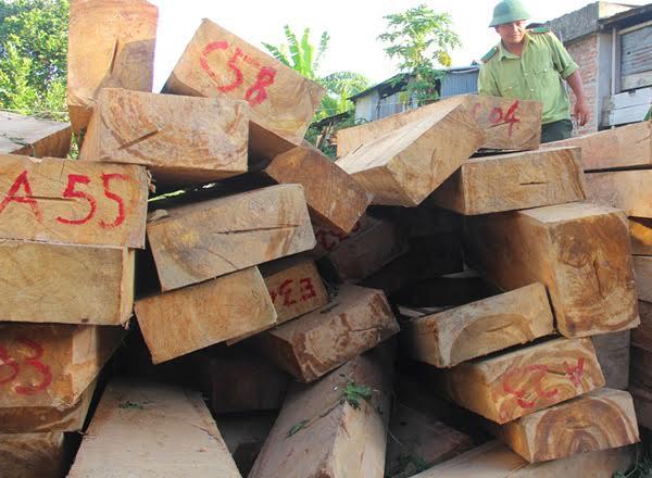Phát hiện 176 phách pơ mu sau trạm kiểm soát biên phòng