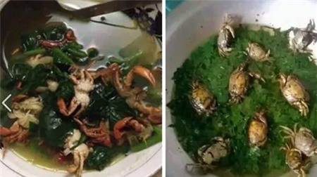 Bát canh 