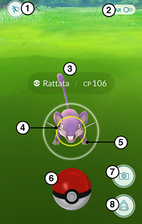 Cách tìm và bắt Pokémon hoang dã tốt nhất