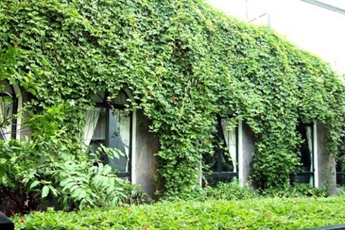 Mang đến sự bình yên cho ngôi nhà theo phong thủy