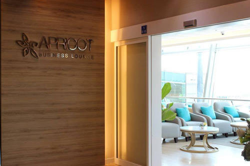 Nâng cấp nhiều dịch vụ tại sân bay Tân Sơn Nhất