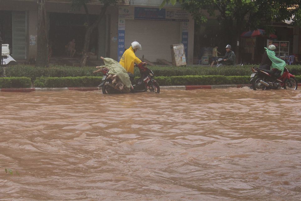 Xuất hiện vùng áp thấp gây thời tiết xấu