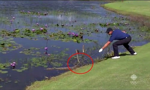 Tay golf cả gan trêu ngươi cá sấu ở Olympic Rio