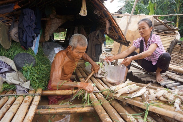 Hơn 130 tấn cá chết do nước lũ chứa nhiều bùn