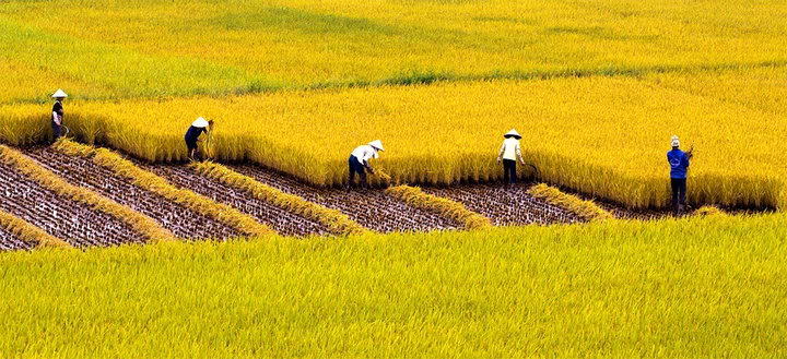 Mùa thu về rồi đấy