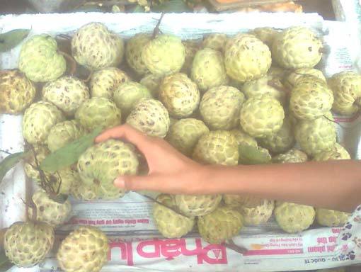 Cẩn trọng với na ủ hóa chất thúc chín nhanh