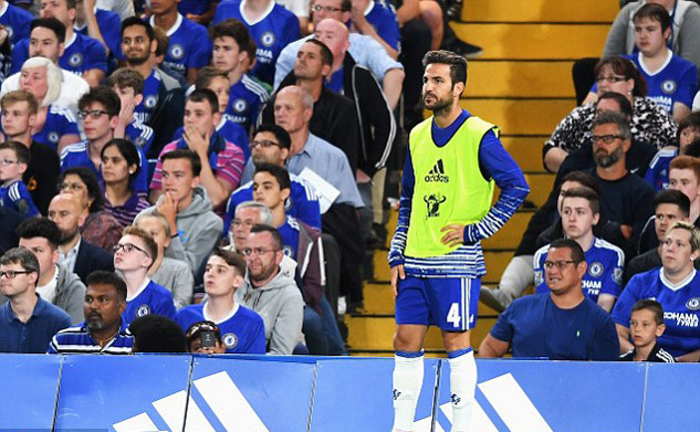 Bị Conte hắt hủi, Fabregas quyết chiến giành vị trí