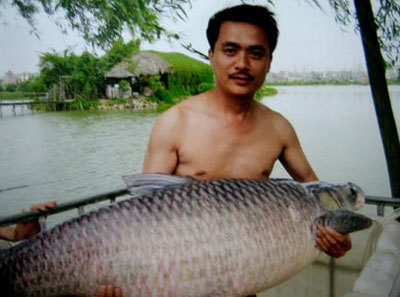 Chuyên gia săn cá khủng Hồ Tây và chuyện bắt trắm đen 2,5 tạ ở Việt Trì