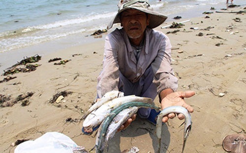 Nhà khoa học nói gì trước băn khoăn 