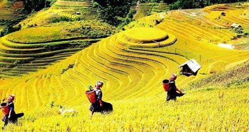 Tour Tây Bắc giá sốc hút dân du lịch Sài thành