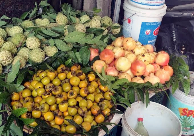 Tám loại hoa quả Trung Quốc nhập về Việt Nam nhiều nhất