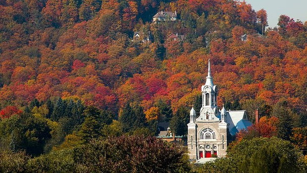 Thu sang, đến Canada ngắm lá vàng bay