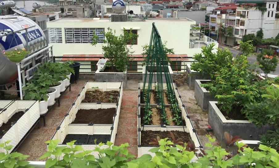 Bỏ trăm triệu trồng vườn rau sân thượng đẹp như công viên