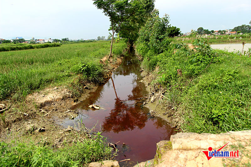 Dòng nước đỏ như máu bủa vây ngôi làng ở Hà Nội