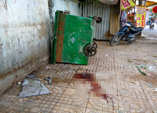 Nữ Việt kiều đuổi cướp, bị té tử vong