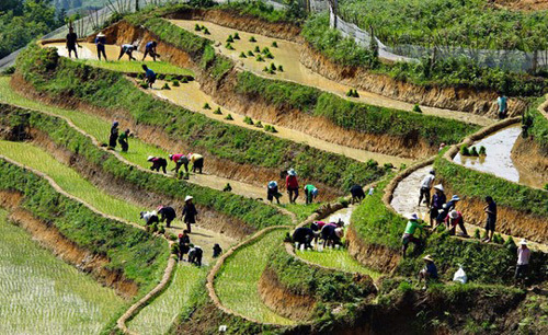 Hai Ban, một Bộ bàn chuyện xóa nghèo cho Tây Bắc