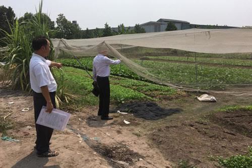 Tạm dừng cưỡng chế lô đất hơn 10 tỷ bị bán oan