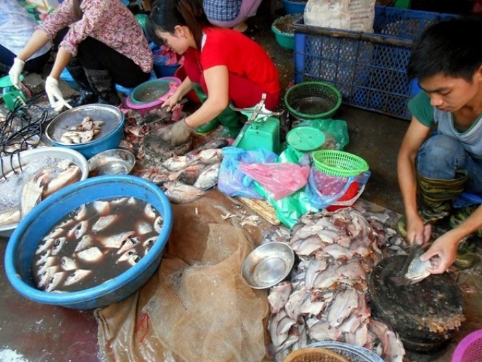 Sự thật mùi cá thối bốc lên từ căn biệt thự hàng xóm