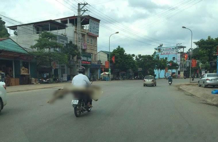 Giám đốc Sở Y tế lên tiếng vụ xe máy chở thi thể