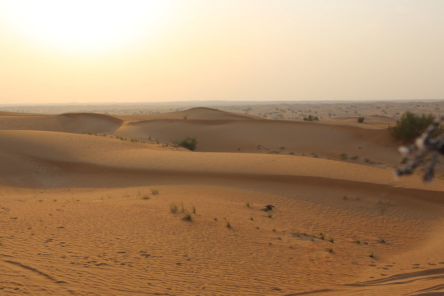 Đến Dubai cưỡi lạc đà, vượt sa mạc nóng bỏng