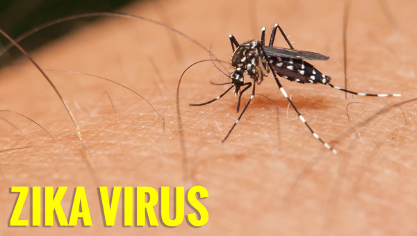 1 người Đài Loan nhiễm Zika sau đám cưới tại Việt Nam