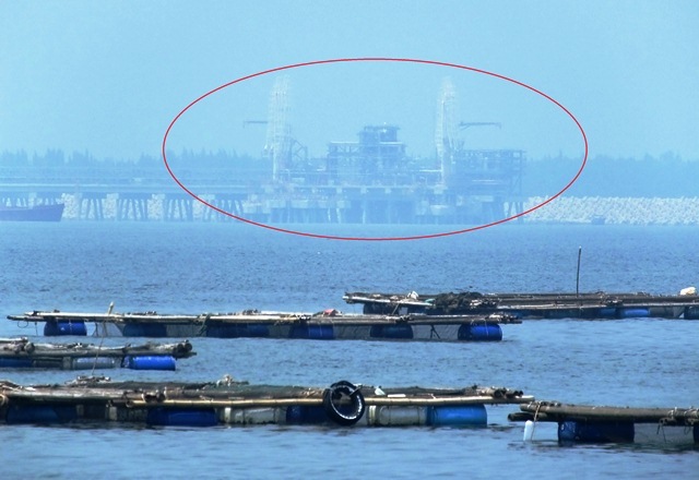 Gần 50 tấn cá chết ở Nghi Sơn: Bất thường vệt nước đen