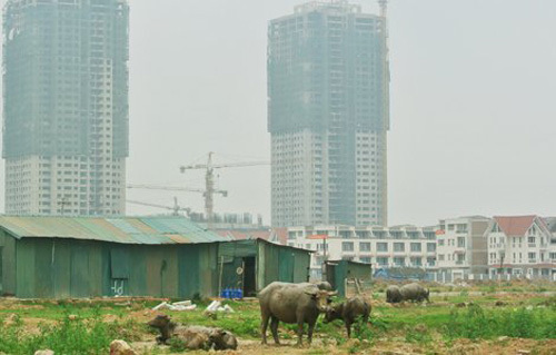 Hà Nội nghiên cứu đưa chung cư về làng