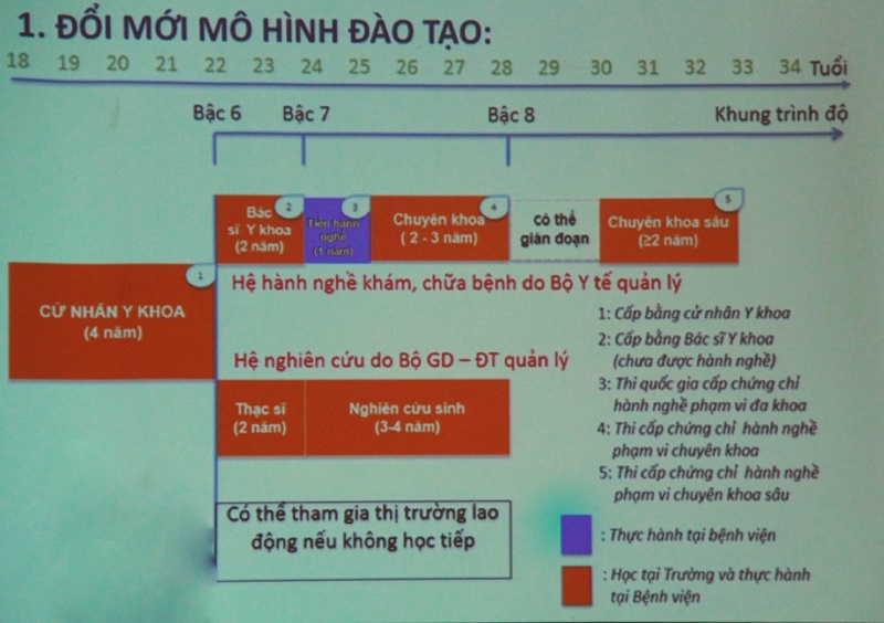 đào tạo ngành y, đào tạo y khoa, trường đại học y