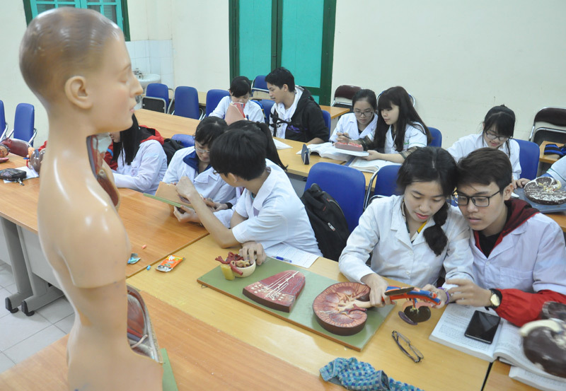 Các trường ĐH Y sẽ rút thời gian đào tạo xuống 4 năm