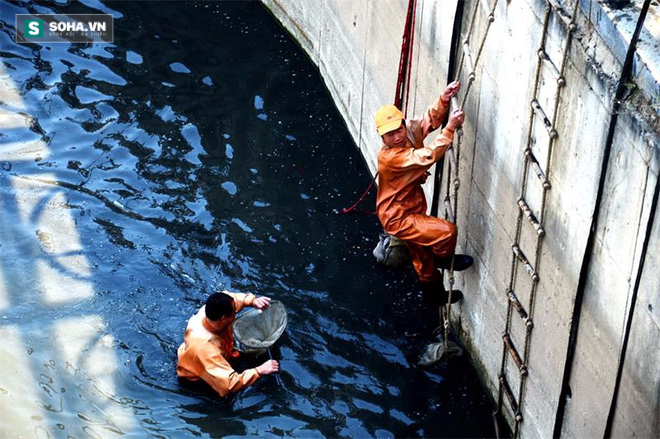 Vớt được cả tấn 'vàng' dưới lòng sông hôi thối... như sông Tô Lịch