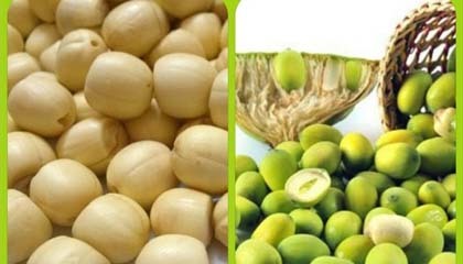 Sự thật bất ngờ trong việc chữa mất ngủ bằng hạt sen bạn nên biết