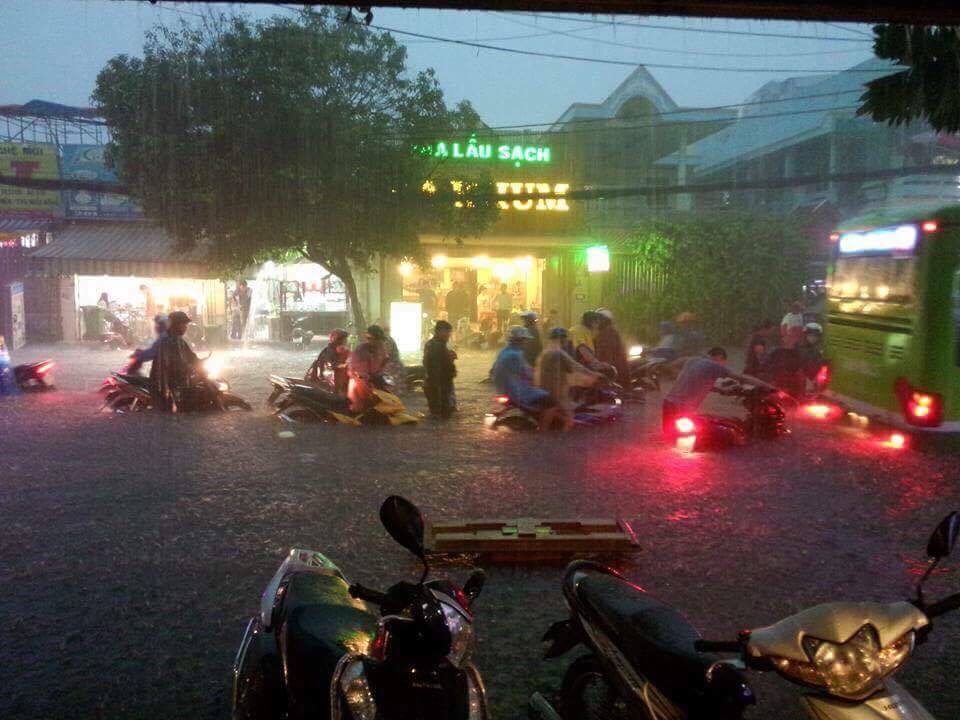 Sài Gòn ngập, y tá bắt lươn trong bệnh viện
