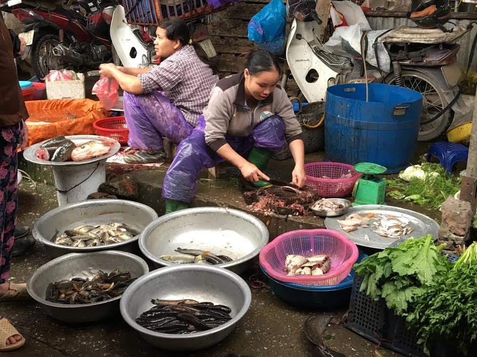 Dân sành Hà thành: Vét bong bóng cá khắp chợ về nhậu