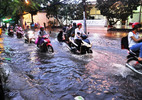 Sài Gòn lại mưa ngập, cây xanh đổ đè ô tô