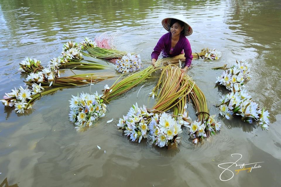 Vẻ đẹp say lòng người của An Giang