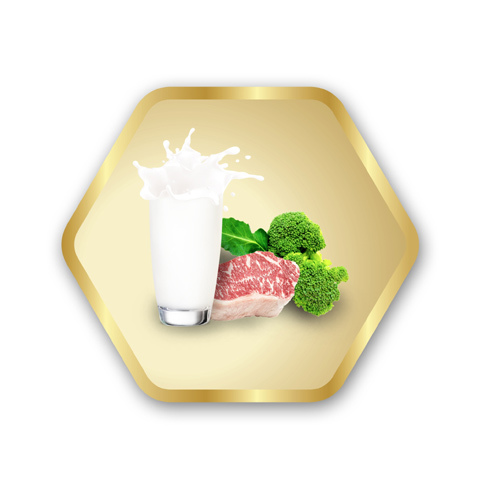 Kiến tạo tương lai cho con từ trong thai kì