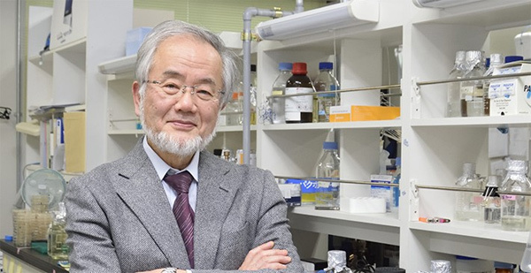 Giáo sư Nhật nhận giải Nobel Y học 2016