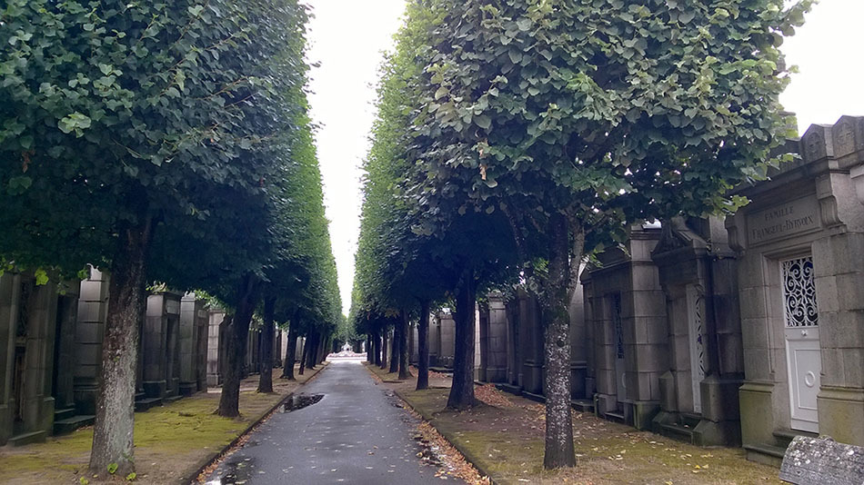 Vào nghĩa trang Pháp tập thể dục