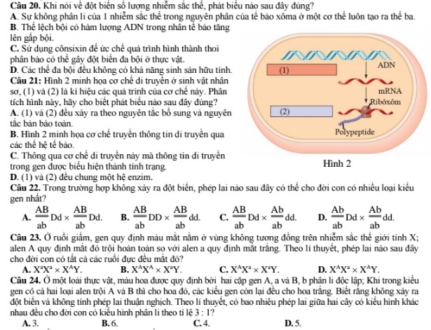 Những pha vượt ẩu 'khó đỡ' trên đường