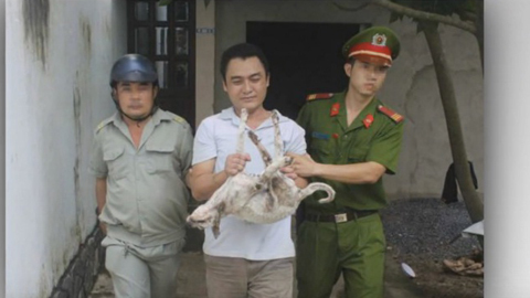 Học 3 năm cử nhân luật, cựu sinh viên đi ăn trộm chó
