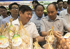 Thủ tướng bác đề xuất Sở An toàn vệ sinh thực phẩm của TPHCM