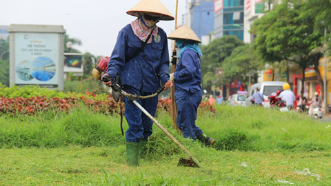 Hà Nội lại rộn ràng cắt cỏ sau 3 tháng