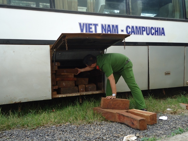 Đắk Nông: Bắt xe khách chở gỗ lậu xuyên tỉnh