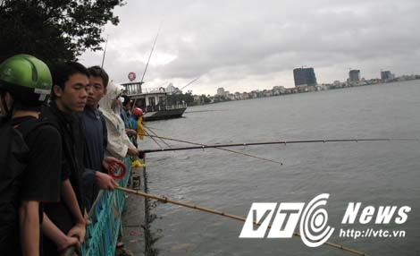 'Thủy quái' Hồ Tây đã tuyệt chủng