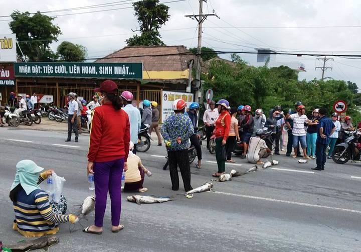 Dân mang cá chết chặn QL, giao thông ách tắc nhiều km