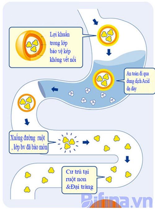 Thú vị với cuộc đua xe tự chế không động cơ