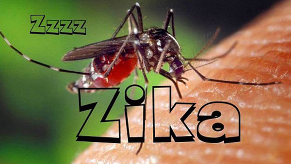 2 phụ nữ nhiễm Zika ở TP.HCM, nguy cơ bùng nhiều nơi