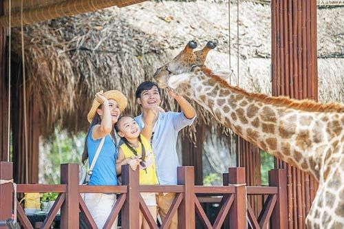 4 cung bậc cảm xúc tại vườn thú Vinpearl Safari Phú Quốc