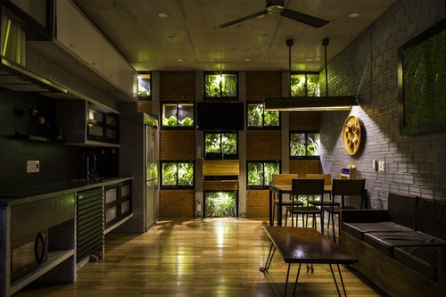 Ngôi nhà 240m² cực nhiều cây xanh, ấn tượng như resort ở Đà Nẵng