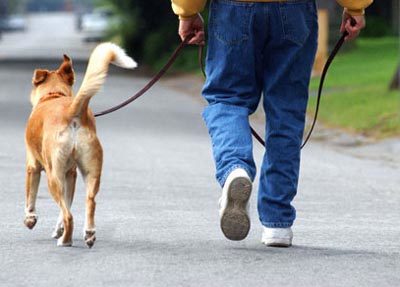 'Chó của tôi bị làm sao thì ông sẽ chết trước'